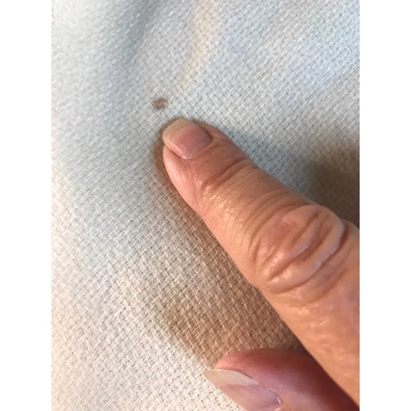 ๐๐๐SOLD Vintage Hand Embroidered Large Cream Wool Shawl - Picture 6 of 7